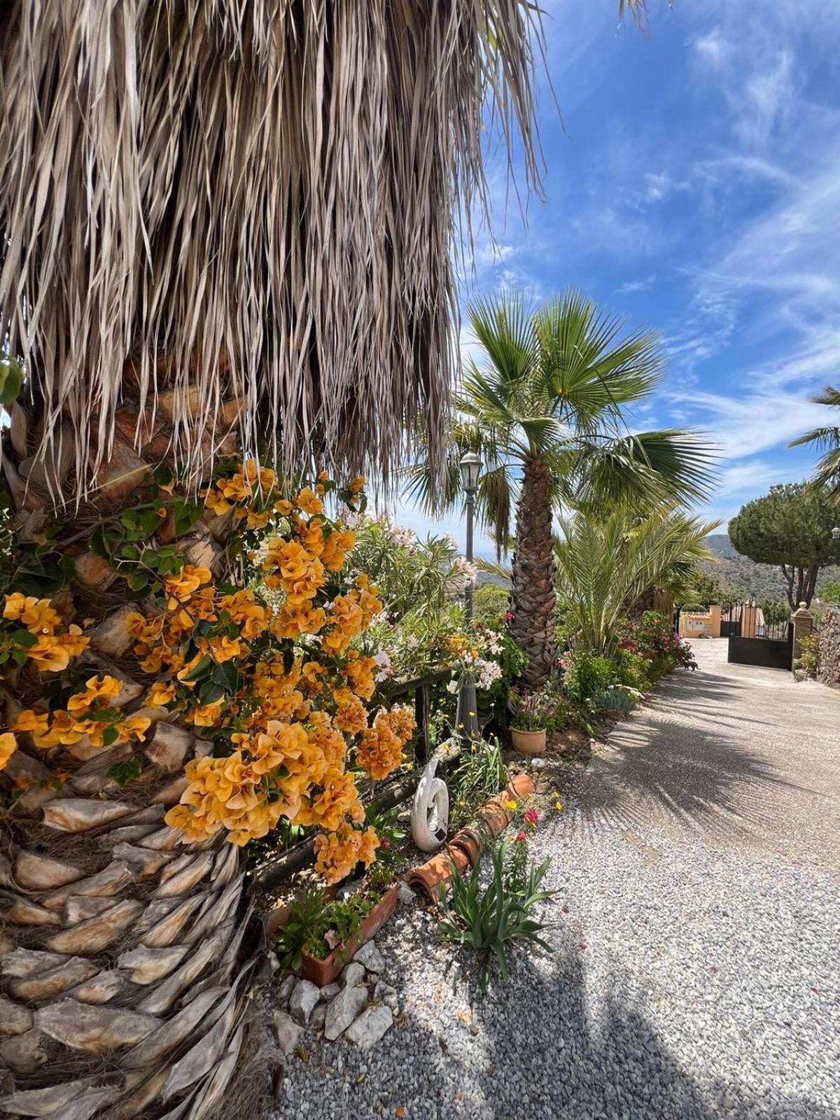 Los Olivos مالقة المظهر الخارجي الصورة